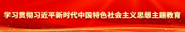 我操白丝美女学习贯彻习近平新时代中国特色社会主义思想主题教育